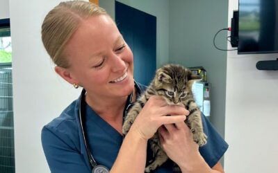 Pet Insurance Myths – What You Need to Know!