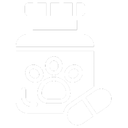 pharmacy-icon