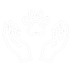 brush-icon