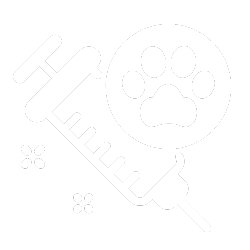 vaccine-service-icon
