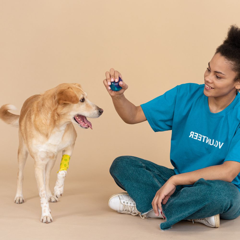 dog playing with the vet