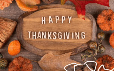 Holiday Safety for Pets: Thanksgiving Edition