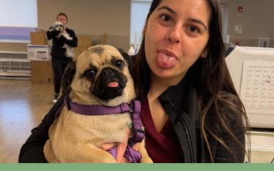 Where Pets Are Family: What Makes a True Veterinary Partnership?